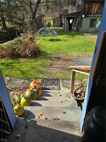 39 Delaware Avenue, Andes, NY 13731