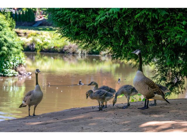 2530 Sw 23RD St, Gresham, OR 97080