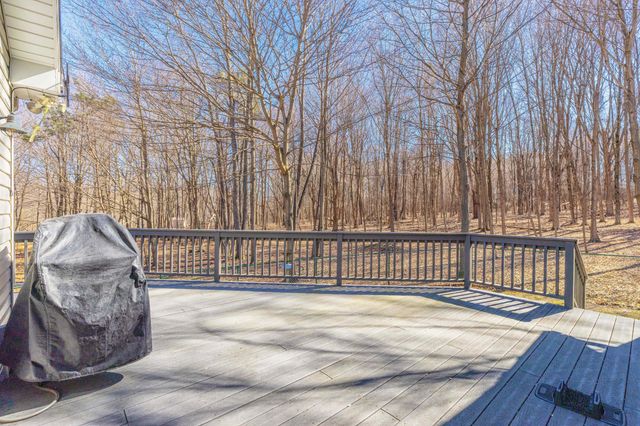 319 S Union Street, Douglas, MI 49406