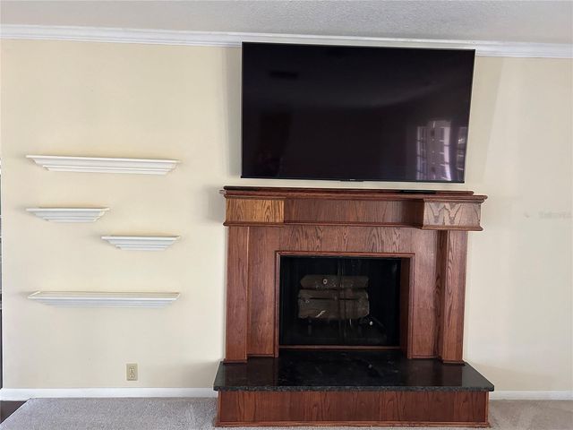 1920 SUSSEX DRIVE, Mount Dora, FL 32757