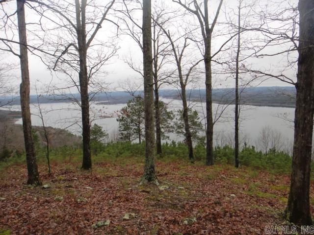 85 Bluff View Drive, Quitman, AR 72131