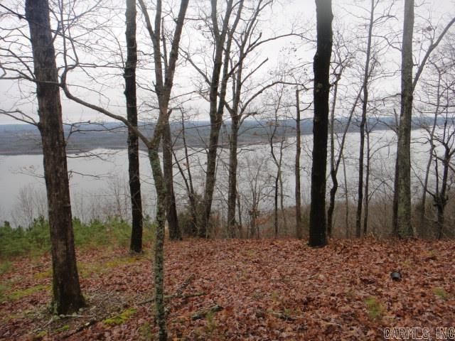 85 Bluff View Drive, Quitman, AR 72131