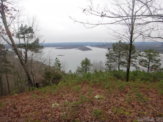 85 Bluff View Drive, Quitman, AR 72131