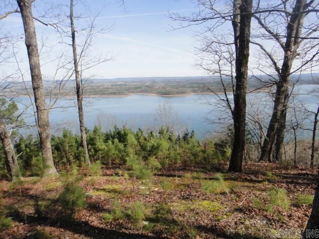 85 Bluff View Drive, Quitman, AR 72131