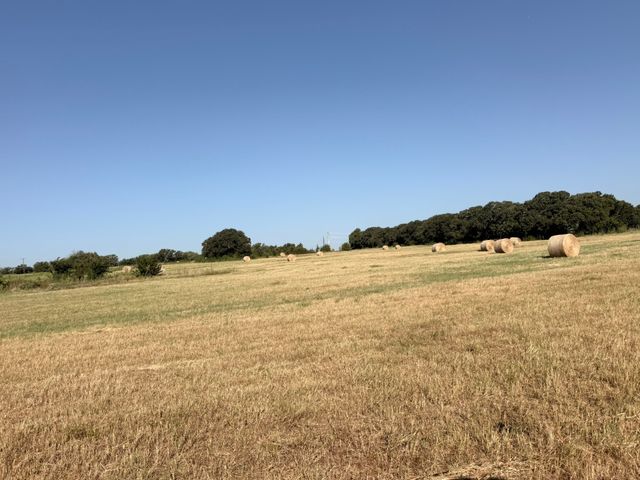 TBD Tract 3 County Road 2121, Gainesville, TX 76240