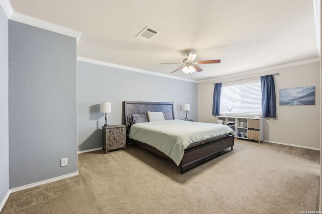 21726 Seminole Oaks, San Antonio, TX 78261