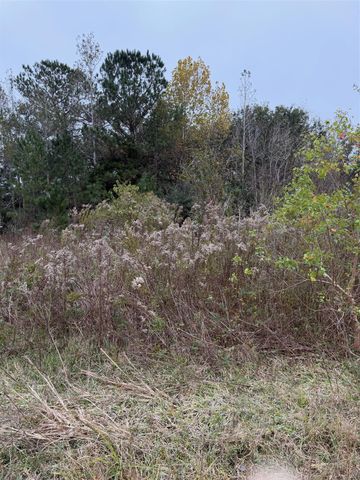 0 County Road 605, Dayton, TX 77535