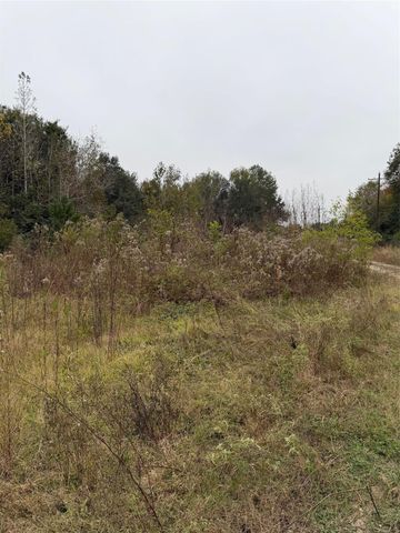 0 County Road 605, Dayton, TX 77535