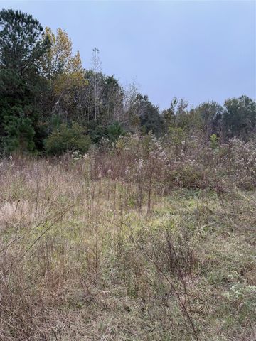 0 County Road 605, Dayton, TX 77535