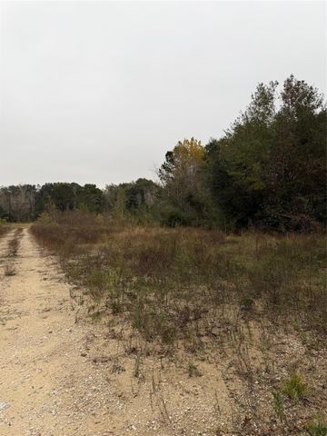 0 County Road 605, Dayton, TX 77535