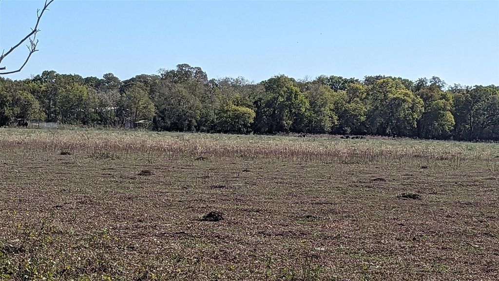0000 County Road 159, Wharton, TX 77488