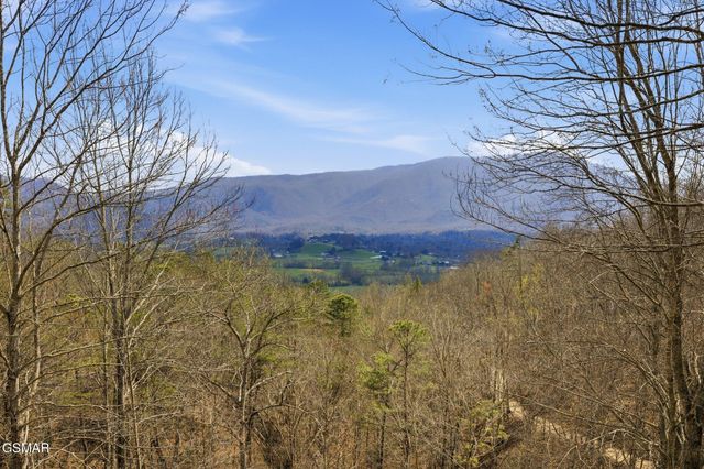 3132 Wears Overlook Lane, Sevierville, TN 37862