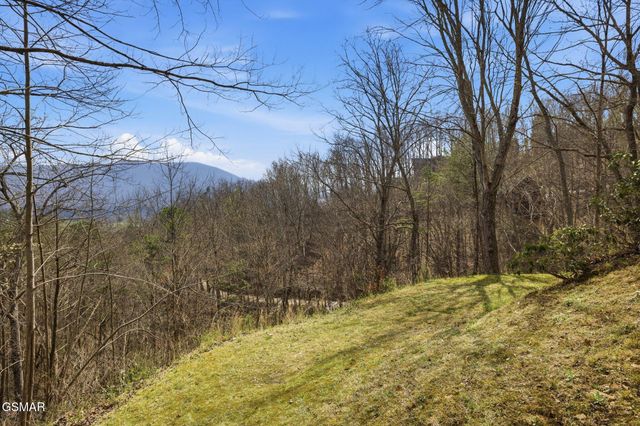 3132 Wears Overlook Lane, Sevierville, TN 37862