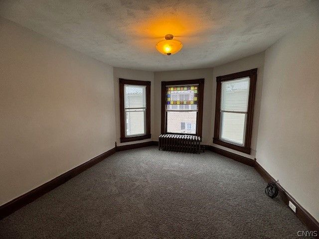 13 Harrington Avenue, Cortland, NY 13045