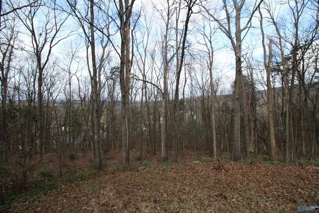 1707 Mountainbrook Drive SE, Huntsville, AL 35801