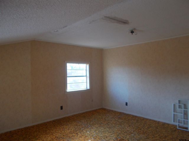 3515 FM 49, Quitman, TX 75783