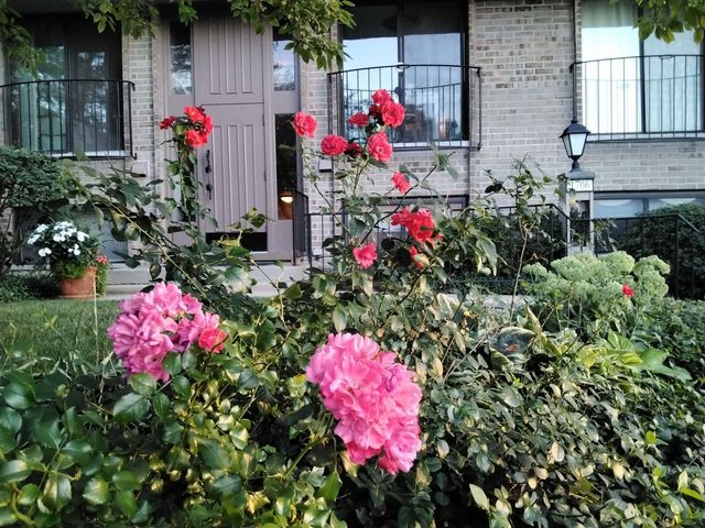 1706 Northfield Square D, Northfield, IL 60093