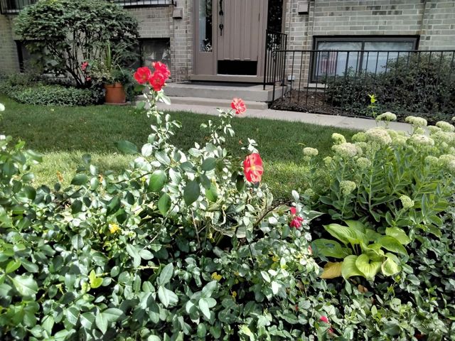 1706 Northfield Square D, Northfield, IL 60093