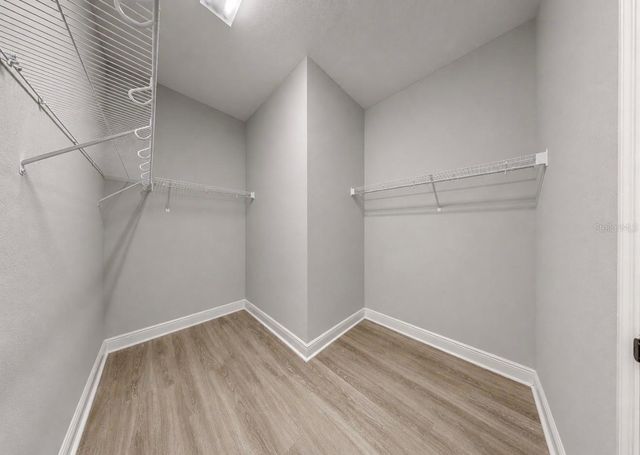 13121 FOXTAIL FERN DRIVE, Riverview, FL 33579