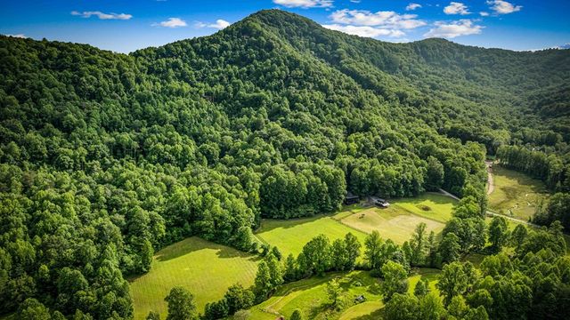 225 Cohutta Ranch Road, Blue Ridge, GA 30513