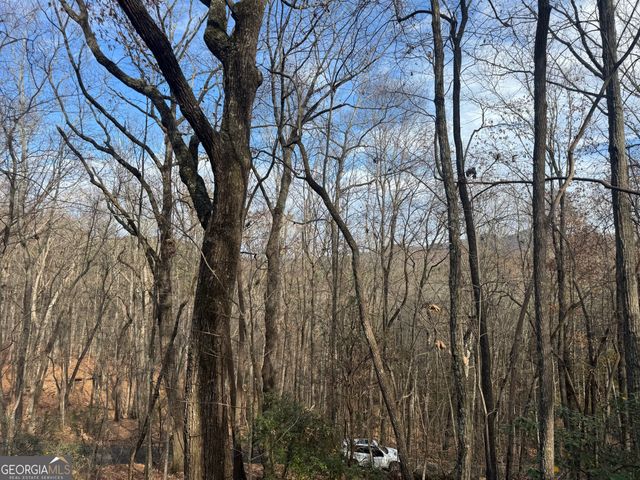 0 Geneva Place, Sautee Nacoochee, GA 30571