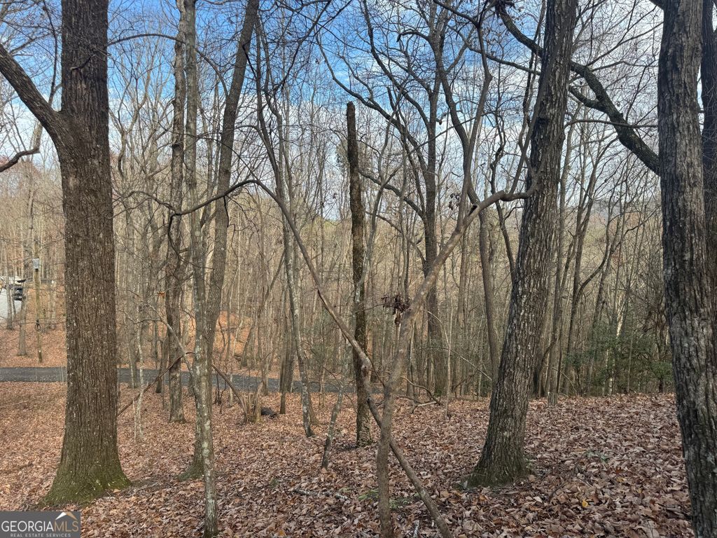 0 Geneva Place, Sautee Nacoochee, GA 30571