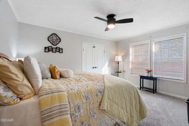 304 Alpha Road, Newport, TN 37821