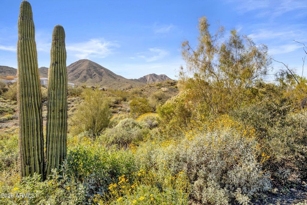 14341 E MOURNING DOVE Drive 84, Fountain Hills, AZ 85268 — photo 5