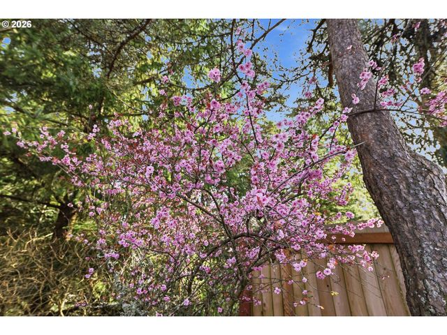 1623 LINCOLN St, North Bend, OR 97459