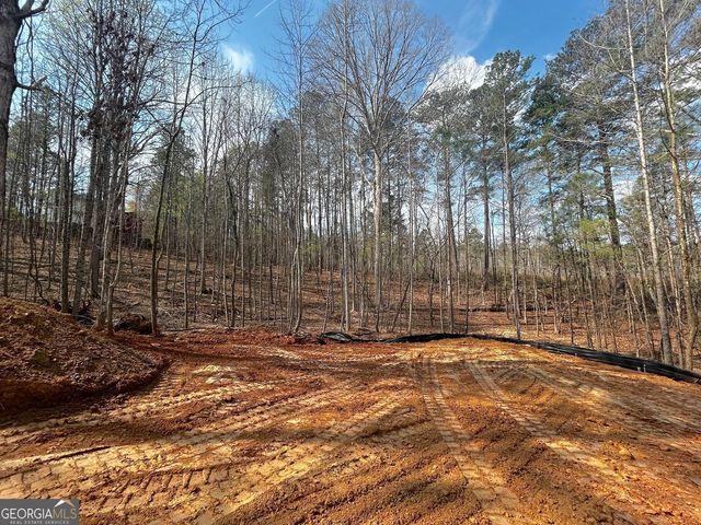 239 Principal Meridian Drive, Dallas, GA 30132