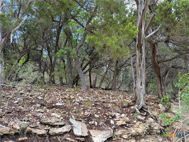 1758 Trail Pass Drive, Canyon Lake, TX 78133