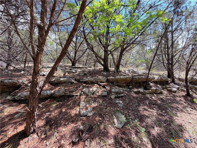 1758 Trail Pass Drive, Canyon Lake, TX 78133