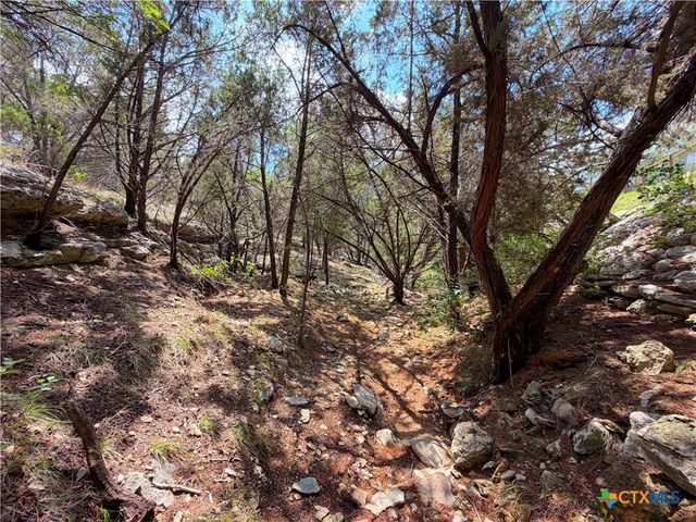 1758 Trail Pass Drive, Canyon Lake, TX 78133