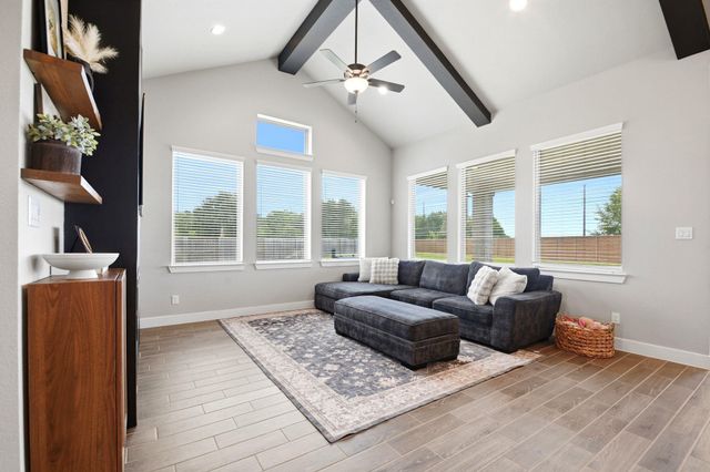 9203 Lacebark Lane, Manvel, TX 77583