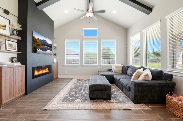 9203 Lacebark Lane, Manvel, TX 77583