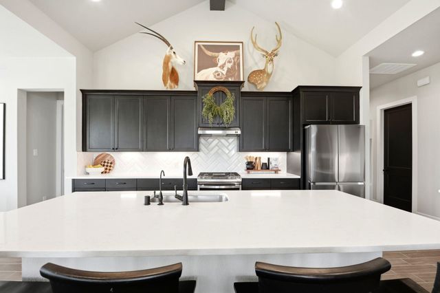 9203 Lacebark Lane, Manvel, TX 77583