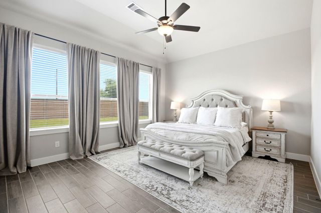 9203 Lacebark Lane, Manvel, TX 77583