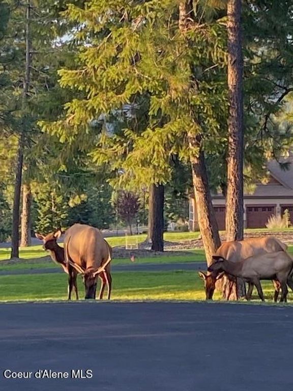 3857 E BECKON RIDGE RD, Coeur d'Alene, ID 83814 photo 69