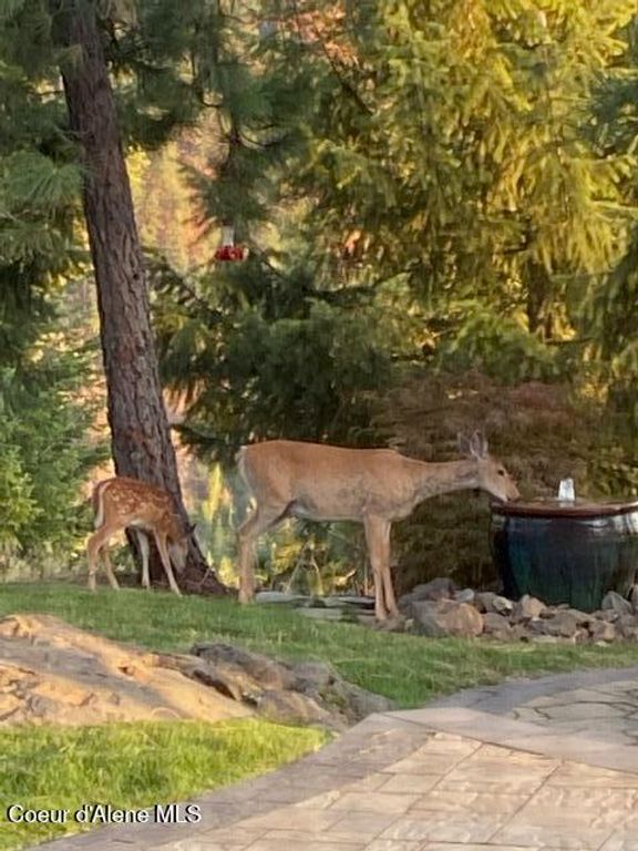 3857 E BECKON RIDGE RD, Coeur d'Alene, ID 83814 photo 70