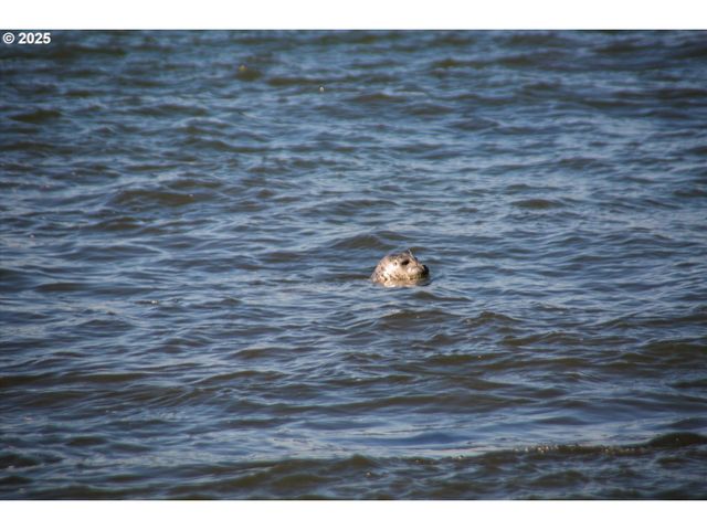 1000 Se BAY Blvd 140, Newport, OR 97365