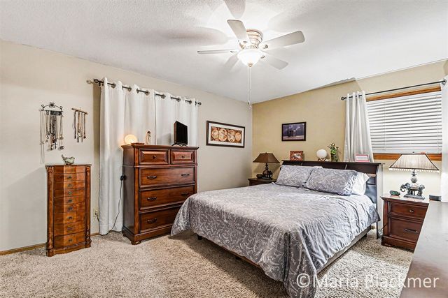 947 Southview Drive, Ionia, MI 48846