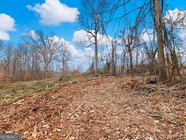 5222 Bogus Road, Gainesville, GA 30506