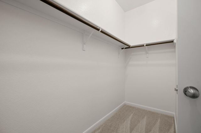 18317 Moreto LOOP, Pflugerville, TX 78660