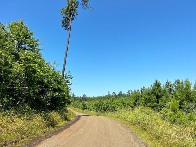 11 Carters Ferry Road, Milam, TX 75959