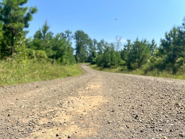 11 Carters Ferry Road, Milam, TX 75959