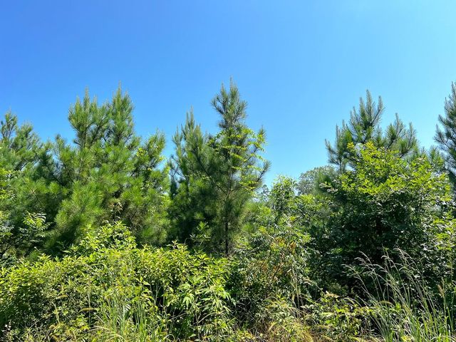 11 Carters Ferry Road, Milam, TX 75959