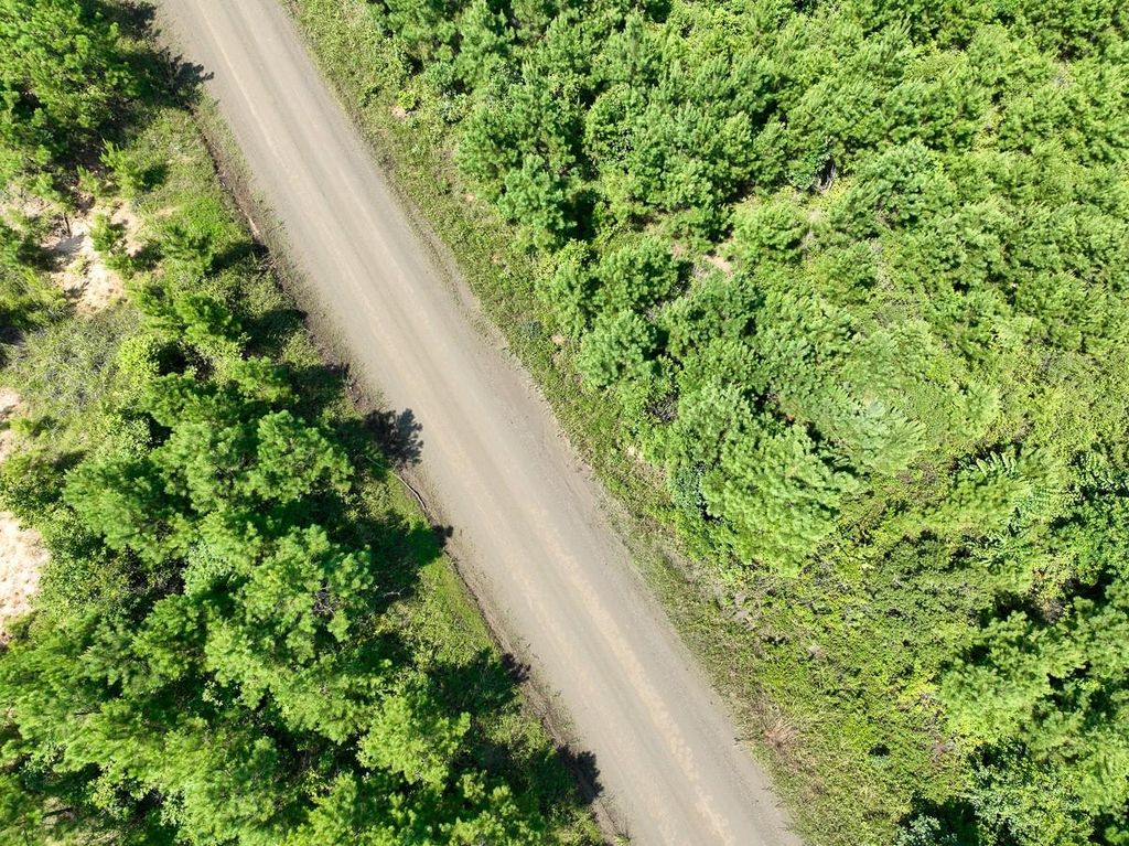 11 Carters Ferry Road, Milam, TX 75959