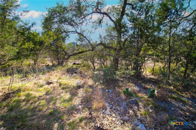 436 Cavy Road, New Braunfels, TX 78132