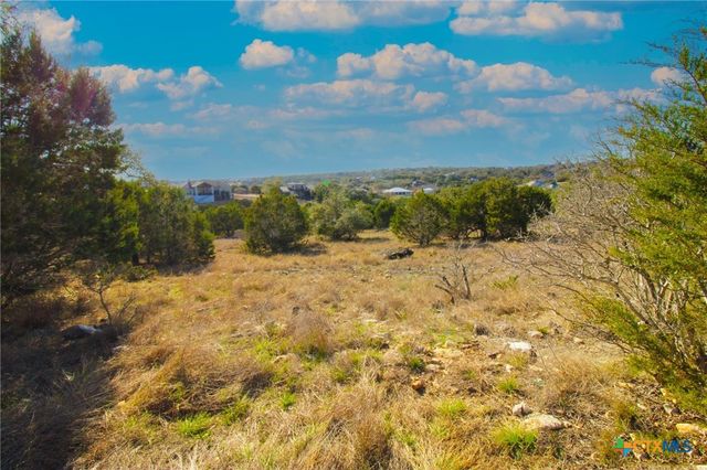 436 Cavy Road, New Braunfels, TX 78132