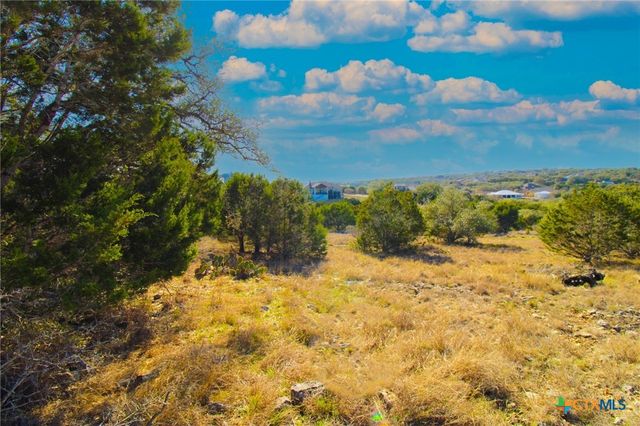 436 Cavy Road, New Braunfels, TX 78132